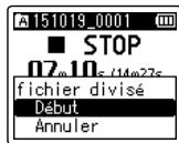 OLYMPUS LS-P1 - Conseil - 4