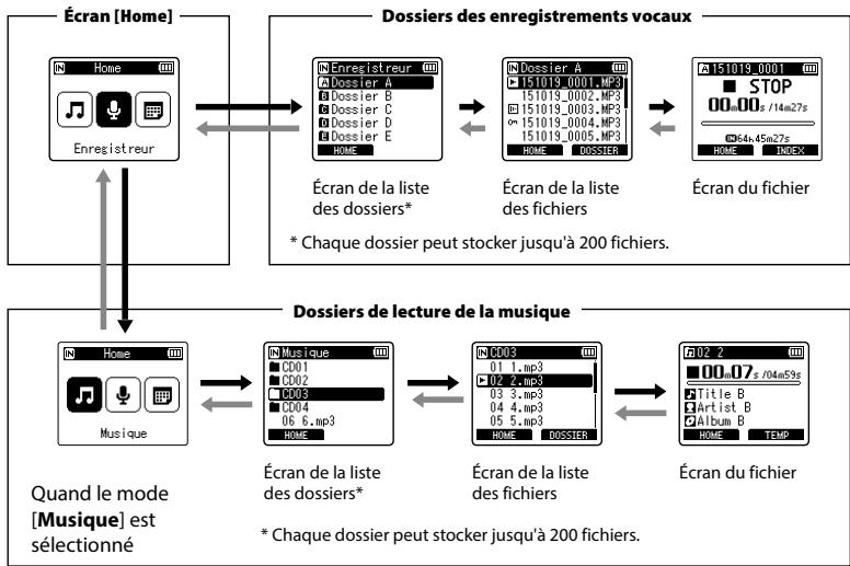 OLYMPUS LS-P1 - Sélection des dossiers et des fichiers - 1