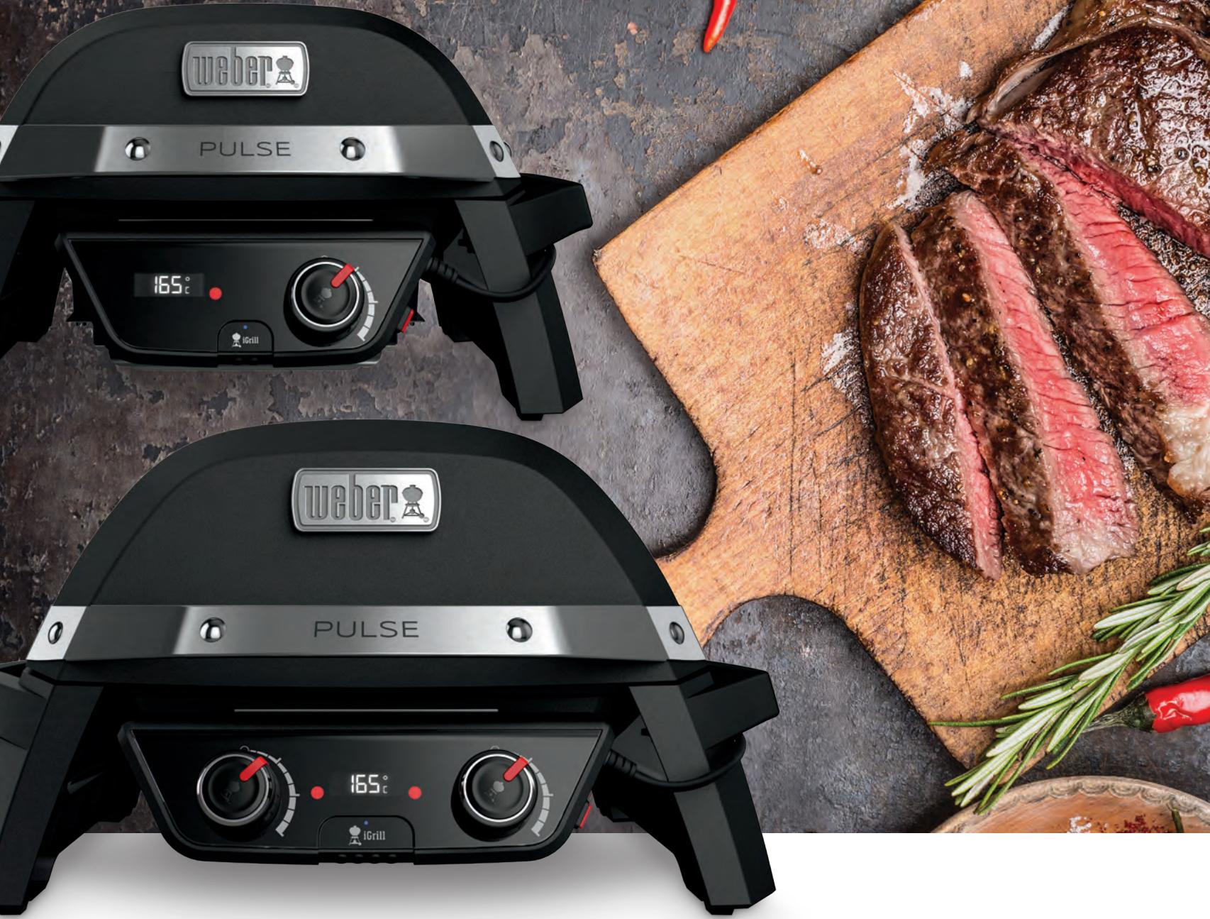 WEBER PULSE 1000 AVEC STAND - 1