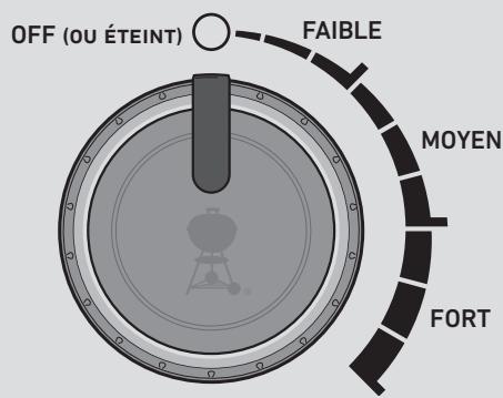 WEBER PULSE 1000 AVEC STAND - Cuisson à double zone - 1