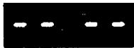 INVERTER 5006 - Tableau de reference des differentes CAUSES de problemes et leurs solutions - 12