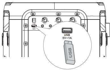 HISENSE MINIPARTY ROCKER ONE - USB-Wiedergabe - 1