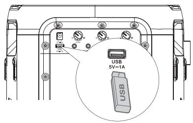 HISENSE MINIPARTY ROCKER ONE - TWS Connection - 1