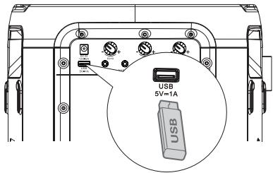 HISENSE MINIPARTY ROCKER ONE - Fonctionnement avec source USB - 1