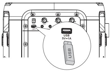 HISENSE MINIPARTY ROCKER ONE - Funcionamento do USB - 1