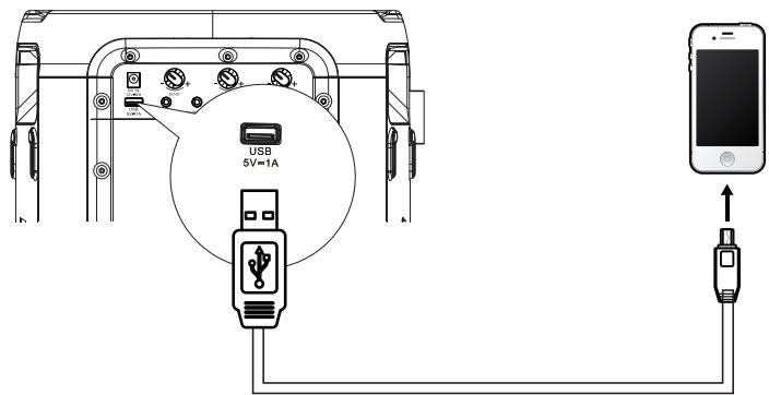 HISENSE MINIPARTY ROCKER ONE - Carga a través de un puerto USB - 1
