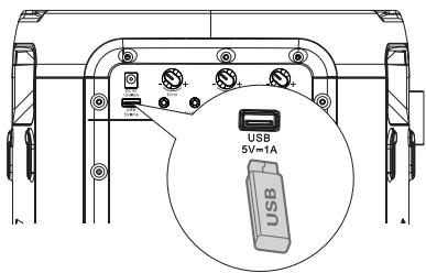 HISENSE MINIPARTY ROCKER ONE - Operación de USB - 1