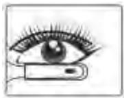 OKOIA EYE BEAUTY - Utilisation du recourbe-cils chauffant - 2