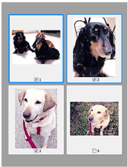 CANON TS6350A - (Miniature) est affichée dans la barre d'outils : - 1