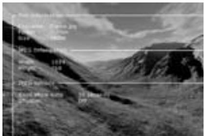 KISS DP 1100 - Affichage d'images jpeg - 4