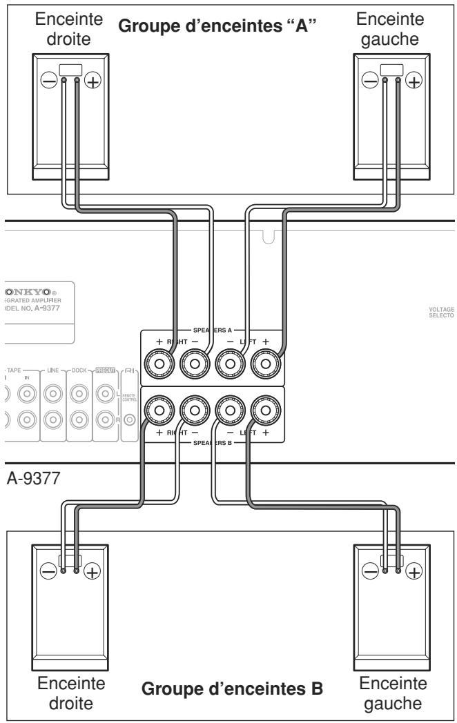 ONKYO A-9377B - Connexion des cables d'enceintes - 5