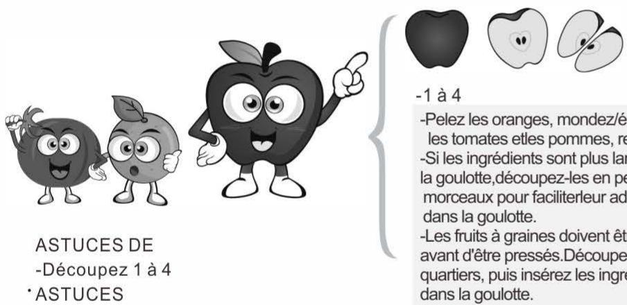 FAGOR EXTRACTEUR JUS 240W - Fruits et légumes mous (ex: oranges, tomates): - 1