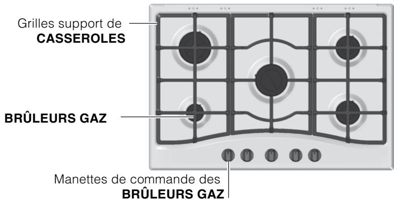ARISTON PC750TGH/IX - Remplacement des injecteurs du brûleur Triple couronne - 7