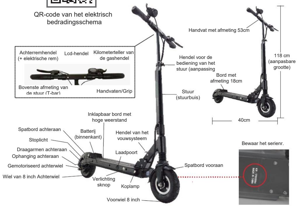 MINIMOTOR SUPERMINI 4 - Overzicht van de Speedway Mini 4 Pro - 3