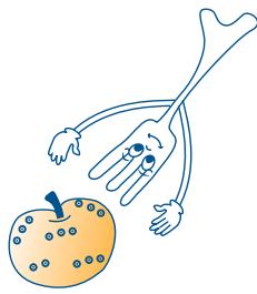 SCHOLTES MWI 243 XA - Régles fondamentales pour une bonne cuisson aux micro-ondes - 1