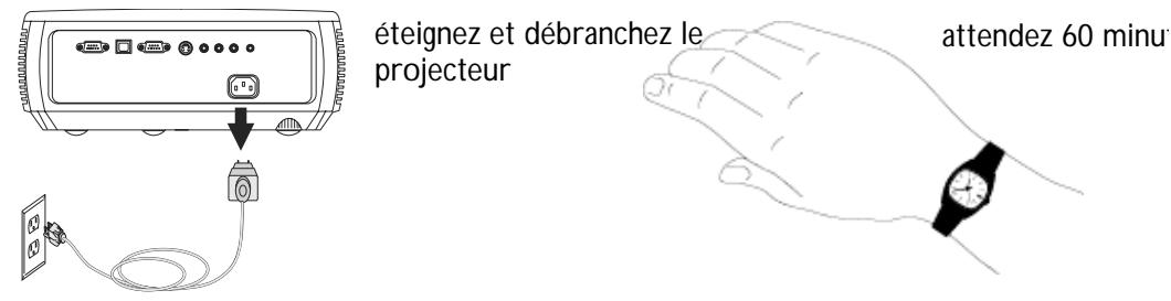 INFOCUS IN2106 - Avertissement : - 2