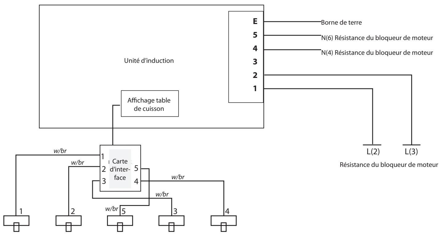 DARRY FALCONMAXI CUISINIERECDL110 - Schémas de Câblage - 1