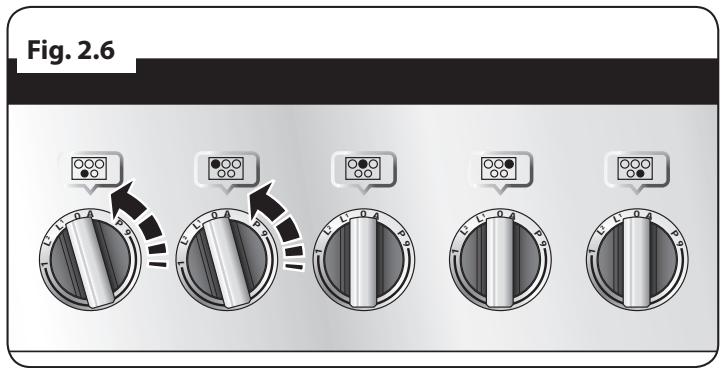 DARRY FALCONMAXI CUISINIERECDL110 - Chauffage Automatique, R - 1
