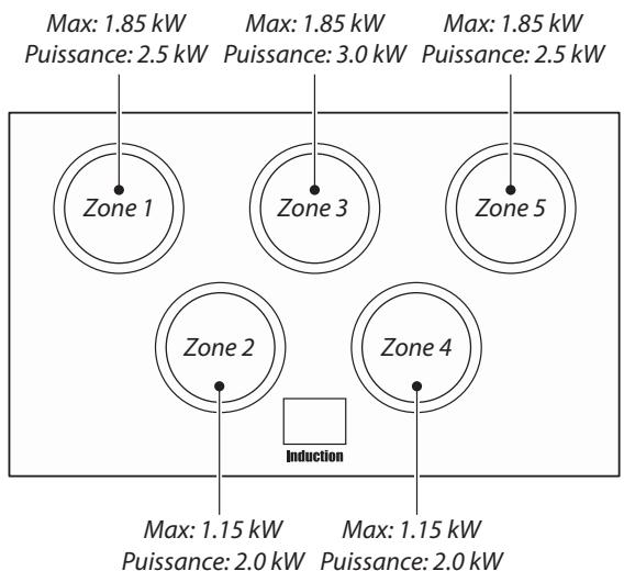 DARRY FALCONMAXI CUISINIERECDL110 - Puissances - 1