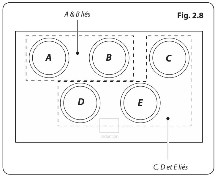 DARRY FALCONMAXI CUISINIERECDL110 - Fonction de Surchauffe - 2