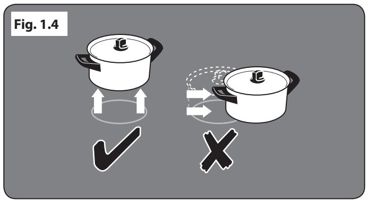 DARRY FALCONMAXI CUISINIERECDL110 - François - 1