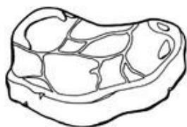 THOMSON THD315NFWH - Viander rouge - 1