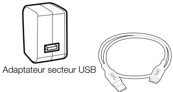 WESTERN DIGITAL MY PASSEPORT WIRELESS 2TO - Contenu de la boîte - 1
