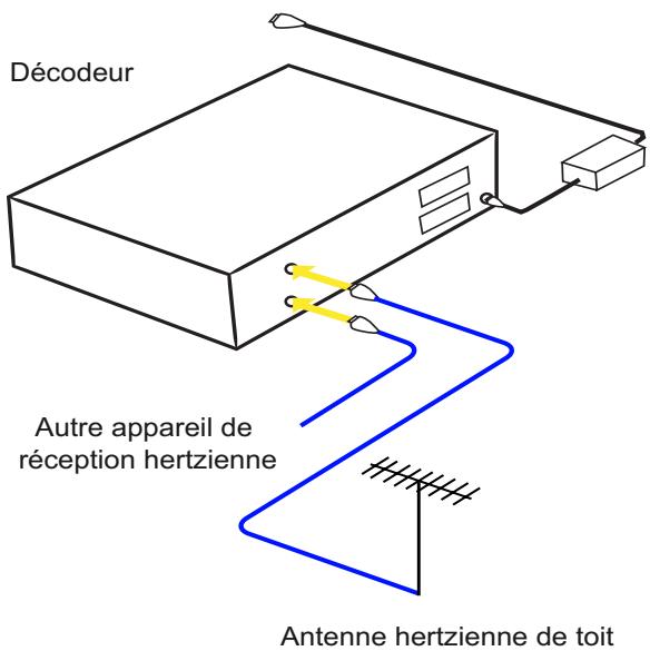 SAGEM UTD 81 HD - Raccordements à l'antenne - 1