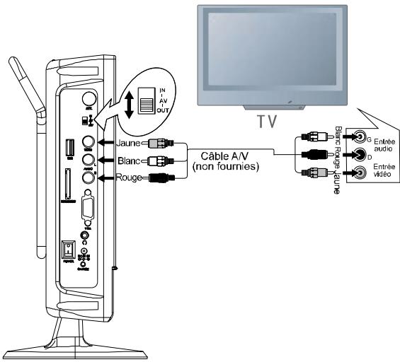 MUSE M-110TVDC - Connexions - 1