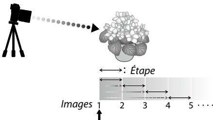 FUJIFILM X-TS - Mise au point et IMAGES/ÉTAPE - 1