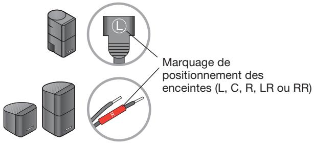 BOSER LS535 - Câbles des enceintes arrêté - 8