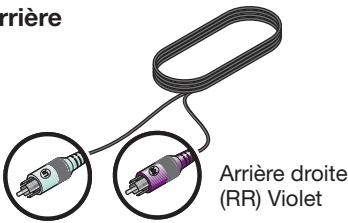 BOSER LS535 - Câbles des enceintes arrêté - 1