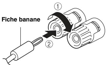 YAMAHA MCR-N8Z70D - Utilisation d'une fiche banane (modèles pour l'amérique du nord, la chine, taiwan et l'australie uniquement) - 1