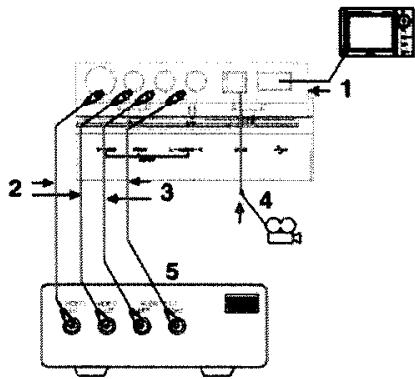 PACKARD EASY HDD RECORDER 80 - Branchement d'une source de signal AV ou DV via le panneau avant - 1