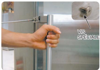 SAMSUNG RL41WCIS - - POIGNÉE STANDARD - 9