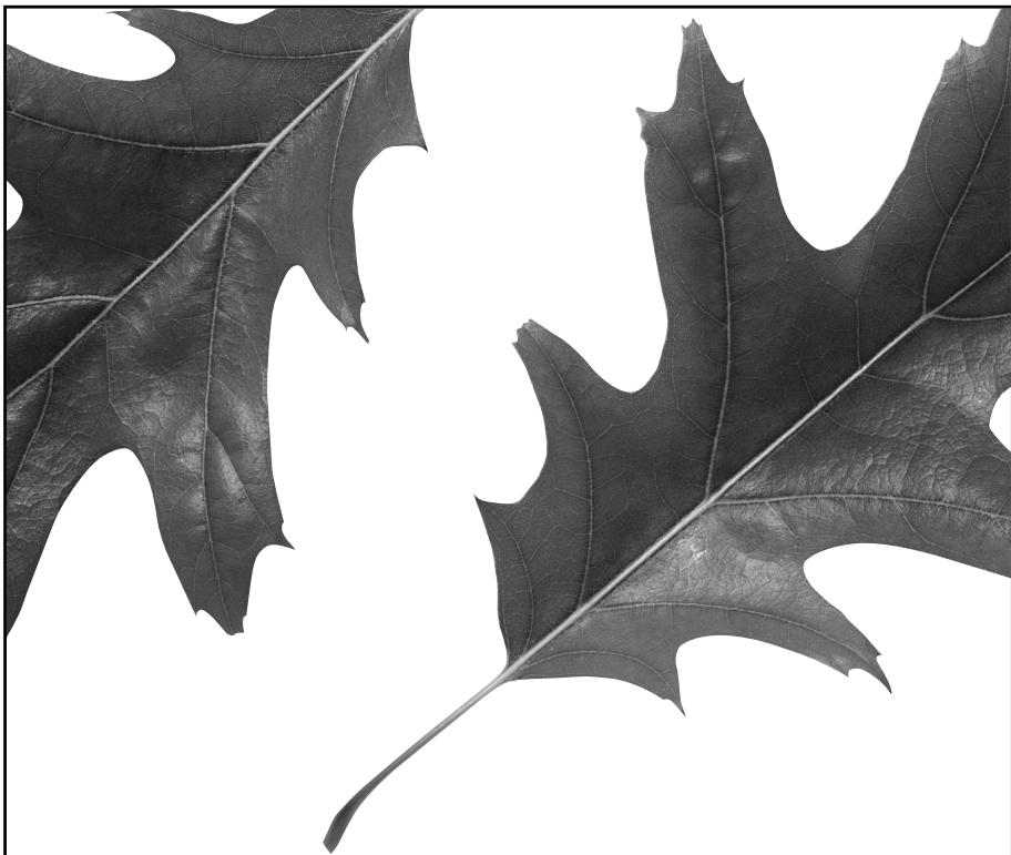 FAGOR 3MF-2IS NOIR - RECOMMANDATIONS ENVIRONNEMENTALES - 1