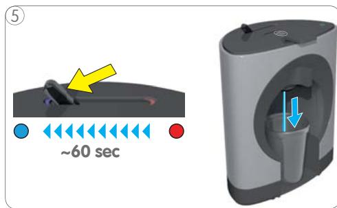 DOLCE GUSTO NC - MARCHÉS EUROPÉENS SEULEMENT: - 7