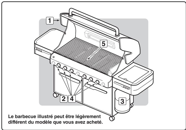 WEBER SUMMIT S670 - POUR ETEINDRE LE BARBECUE - 2