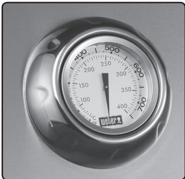 WEBER SUMMIT S670 - 1