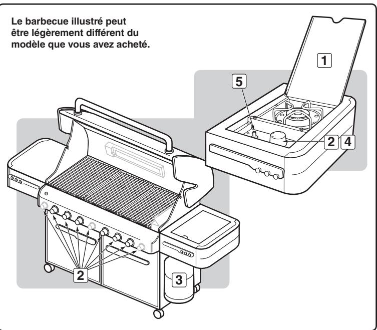 WEBER SUMMIT S670 - POUR ETEINDRE - 2