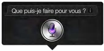 APPLE IPAD MINI 166 - Démarrage de siri - 1