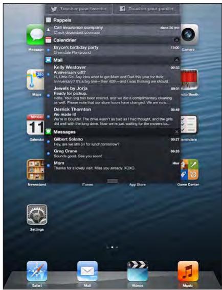 APPLE IPAD MINI 166 - Notifications - 2
