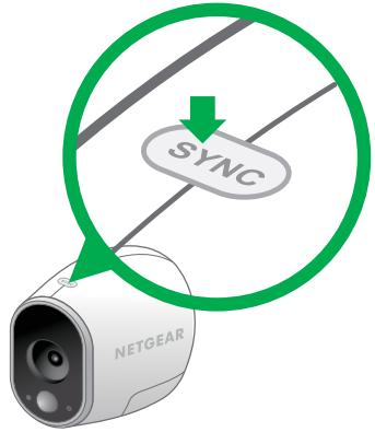 SYNC NETGEAR