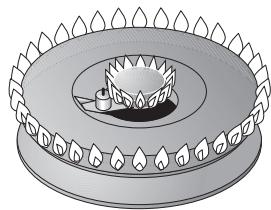 GAGGENAU CG 492-110F - Principe de fonctionnement - 2