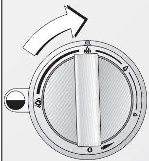 GAGGENAU CG 492-110F - Allumage - 2