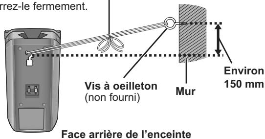 PANASONIC SC-BTX68EF-K - Empêcher les enceintes de tomber - 1