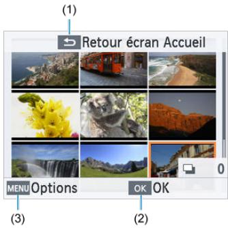 CANON SELPHY CP1500 - Écran de lecture multiple - 1