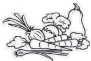 THOMSON THHB9OIX - Verse groente en fruit - 1
