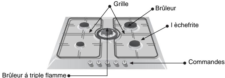 SIEMENS ER 78551 EU INOX - Consignes de sécurité - 3