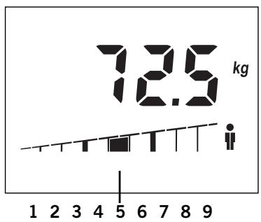 SOEHNLER 63162 - Recommandation individuelle - 1